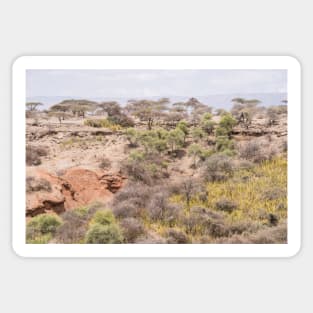 Olduvai Gorge, Seregeti Sticker